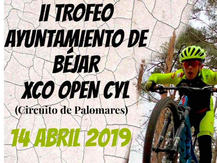 Cartel anunciador de la actividad