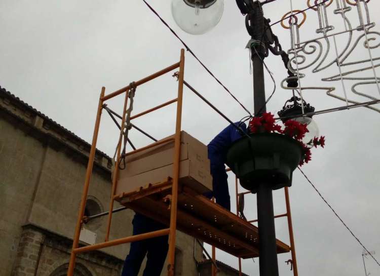 Un trabajador colocando la ornamentación navideña en una jardinera d la Plaza Mayor