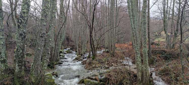 Paisaje del río a su paso por Candelario antes de los vertidos