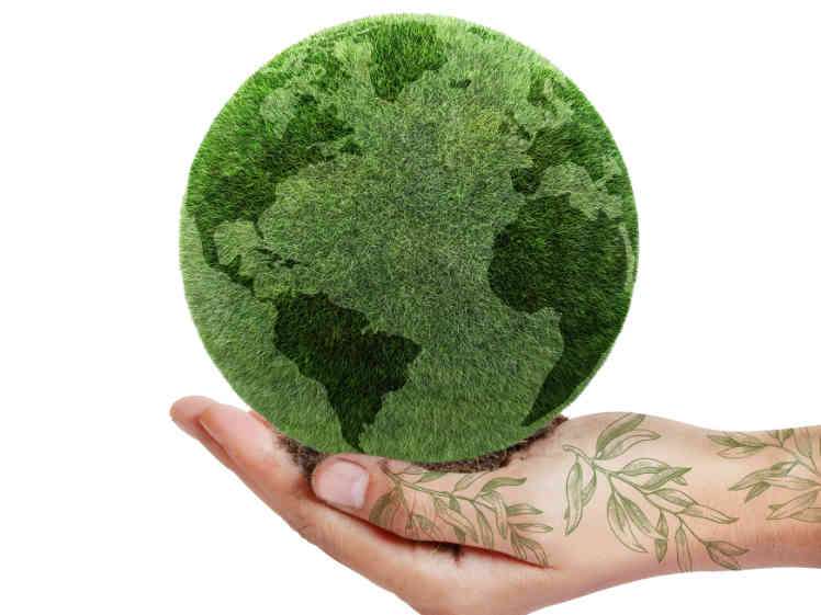 Vista parcial del Cartel anunciador de la actividad