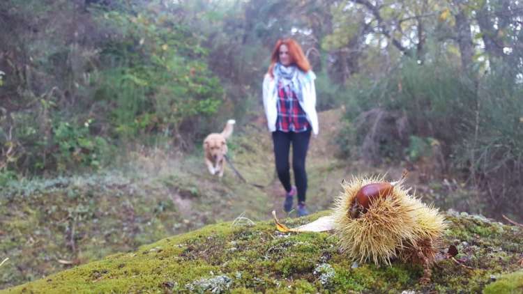 Mujer paseando a un perro por el entorno de Béjar. Archivo