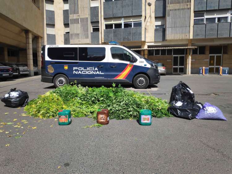 Desmantelamiento de una vivienda dedicada a producr plantas de marihuana