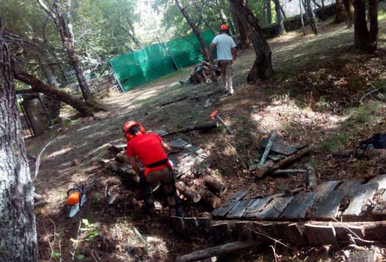 Participantes del programa mixto de empleo trabajando en El Bosque 
