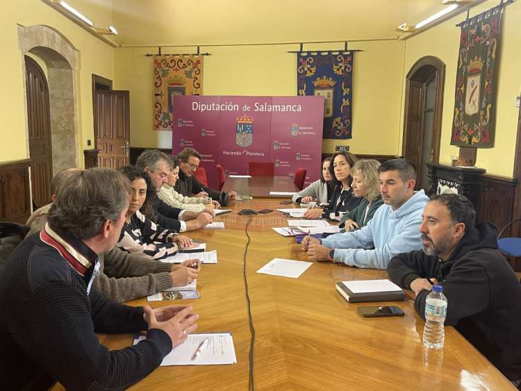Reunión III Mesa del Castaño, Diputación de Salamanca