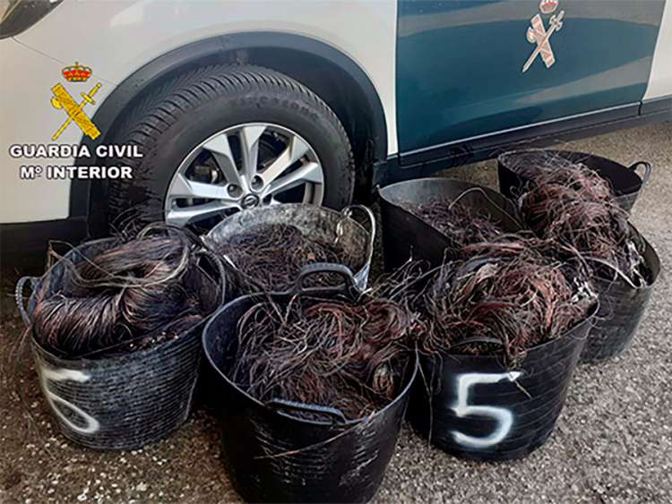 Cableado robado, Béjar