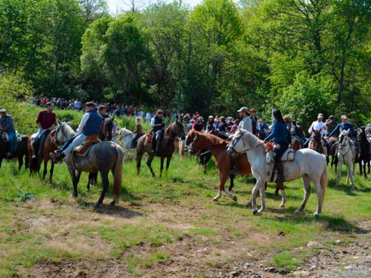 Romería de Los Paporros llegada a El Castañar