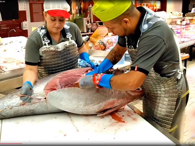 Fotograma de vídeo de ronqueo de atún rojo en un DIA