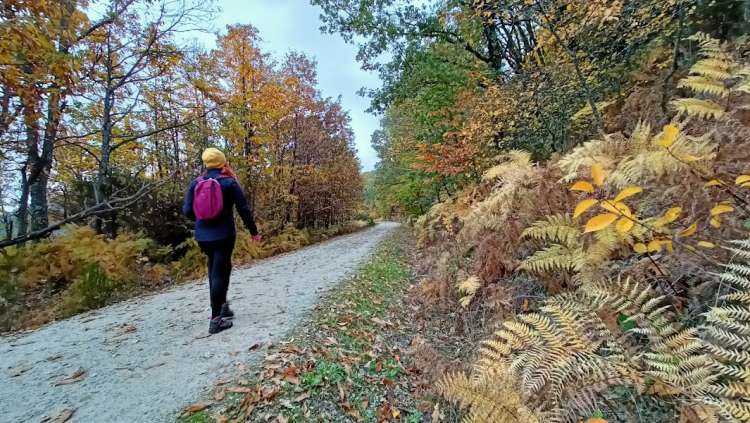 Ruta turística por la sierra de Béjar 