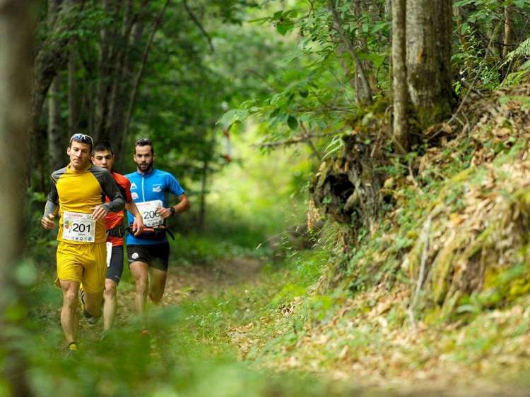 Varios corredores durante la pasada edición de la Ruta Vetona