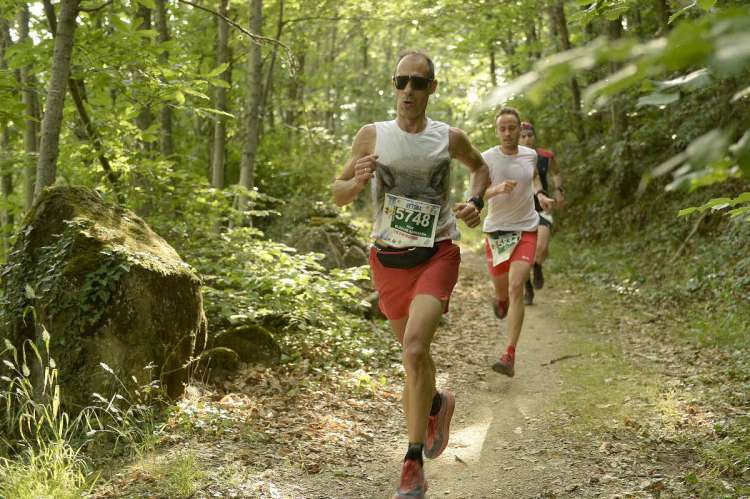 Corredores de la Ruta Vetona de Béjar  en zona de bosque