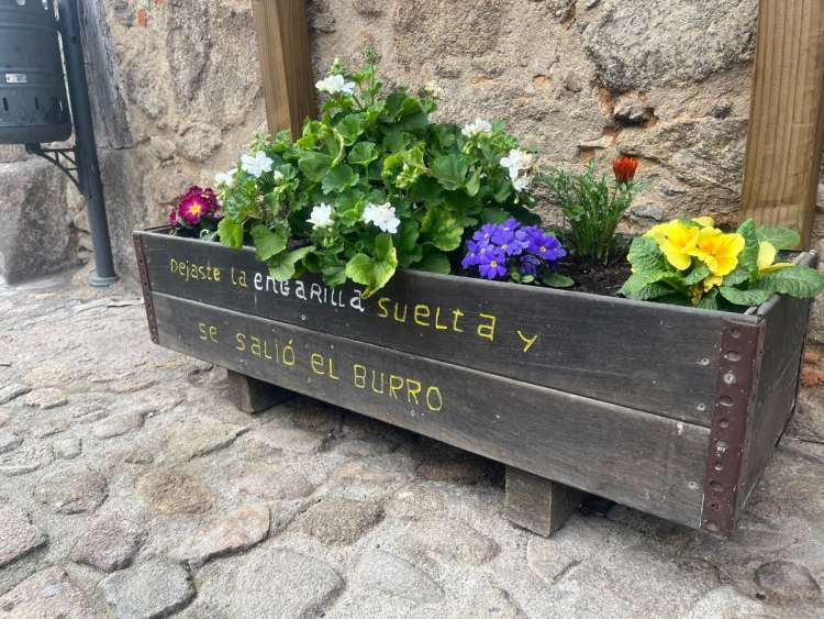 Jardinera en calle de San Martín del Castañar