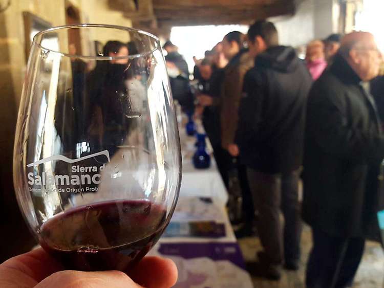 Un momento de la III Cata de primavera