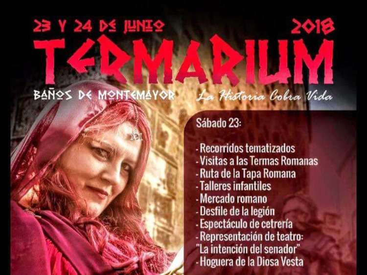 Cartel promocional Termarium