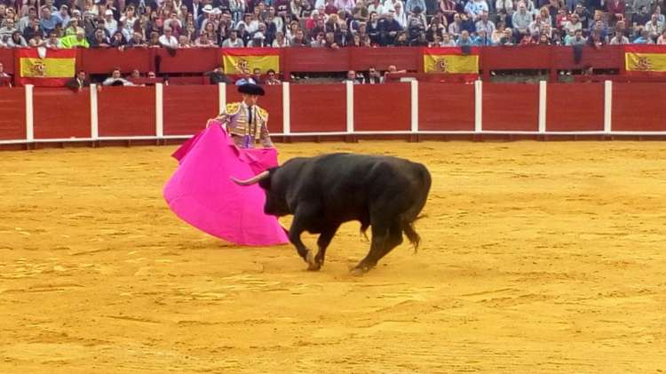 Instante de la corrida de toros celebrada en Béjar