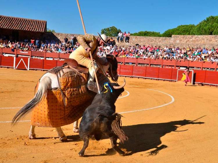 Picador en plaza de toros de Béjar