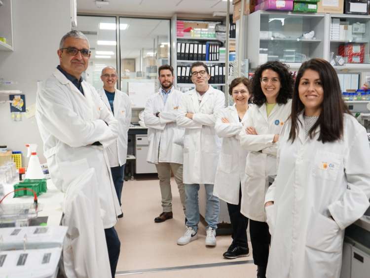 quipo de Xóse Bustelo, Univeridad de Salamanca