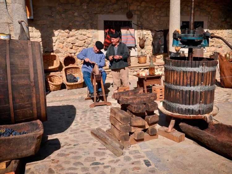 Fiesta de la vendimia en San Martín del Castañar