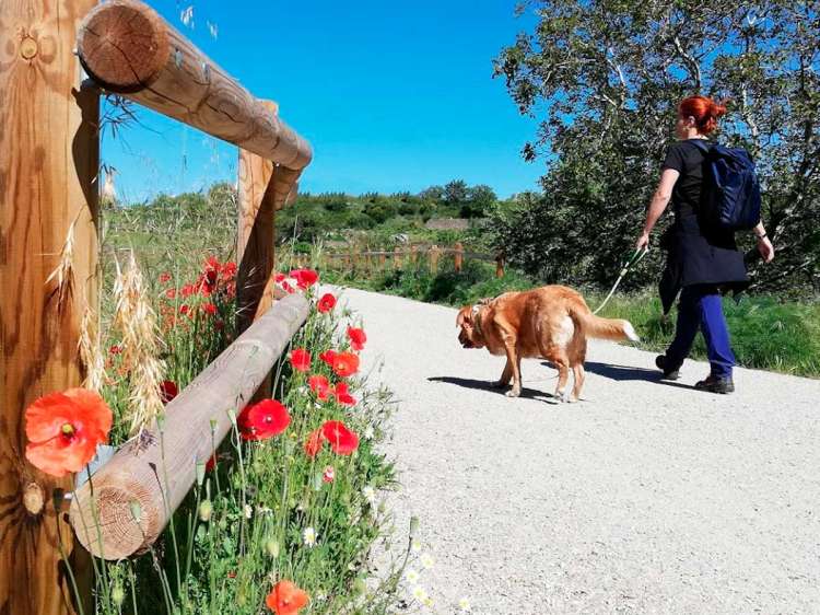 Uno de los tramos de la Vía Verde