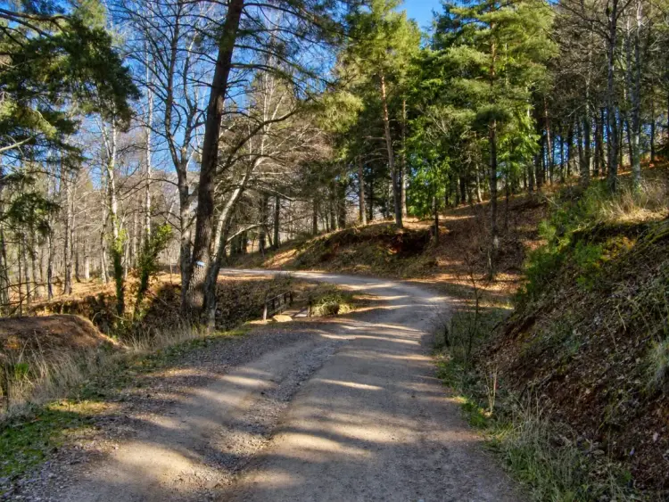 Parque de Los Pinos, Monte Mario, Béjar