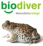 Los socialistas de Béjar critican la falta de interés del gobierno popular en materia medioambiental                                                  
