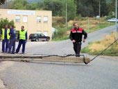 Un camión derriba un  poste de hormigón sobre la calzada interrumpiendo el tráfico durante aproximadamente una hora                                   