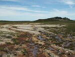 La Plataforma del Parque Natural de Candelario denuncia la existencia de un trampal contaminado y en proceso de desaparición en la Covatilla          