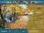 El próximo fin de semana se inicia el Otoño Mágico                                                                                                    