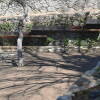 El Bosque de Béjar