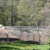 El Bosque de Béjar