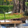 Obras del Jardín Romántico Bosque de Béjar
