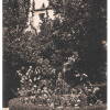 Plano Bosque de Béjar