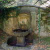  Fuente del Escudo, El Bosque de Béjar