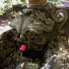 Fuente del Escudo, El Bosque de Béjar