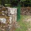 Angarilla de paso Bosque de Béjar