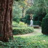 El Bosque de Béjar