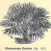 Fig. 51