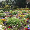 Macizo de flores en el jardín de la Quinta de Vista Alegre de Madrid