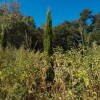 Huerta de abajo El Bosque de Béjar
