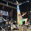 Abejarock