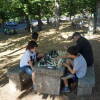 Torneo de Ajedrez en el Castañar de Béjar