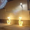 Renos de luces en la Plaza del Teatro Cervantes de Béjar