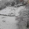 Bejar nevada
