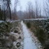bejar-nieve-parque-municipal-202101-4.jpg