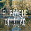 El Bosque de Béjar