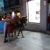 Cabalgata de los Reyes Magos en Béjar
