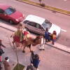 Cabalgata de los Reyes Magos en Béjar