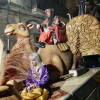 Cabalgata de Reyes en Béjar