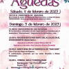 Cartel actividades Águedas Béjar 2023