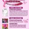Cartel anunciador de la actividad