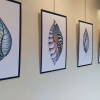 Exposición Semillas Artísticas de la Biosfera en Béjar